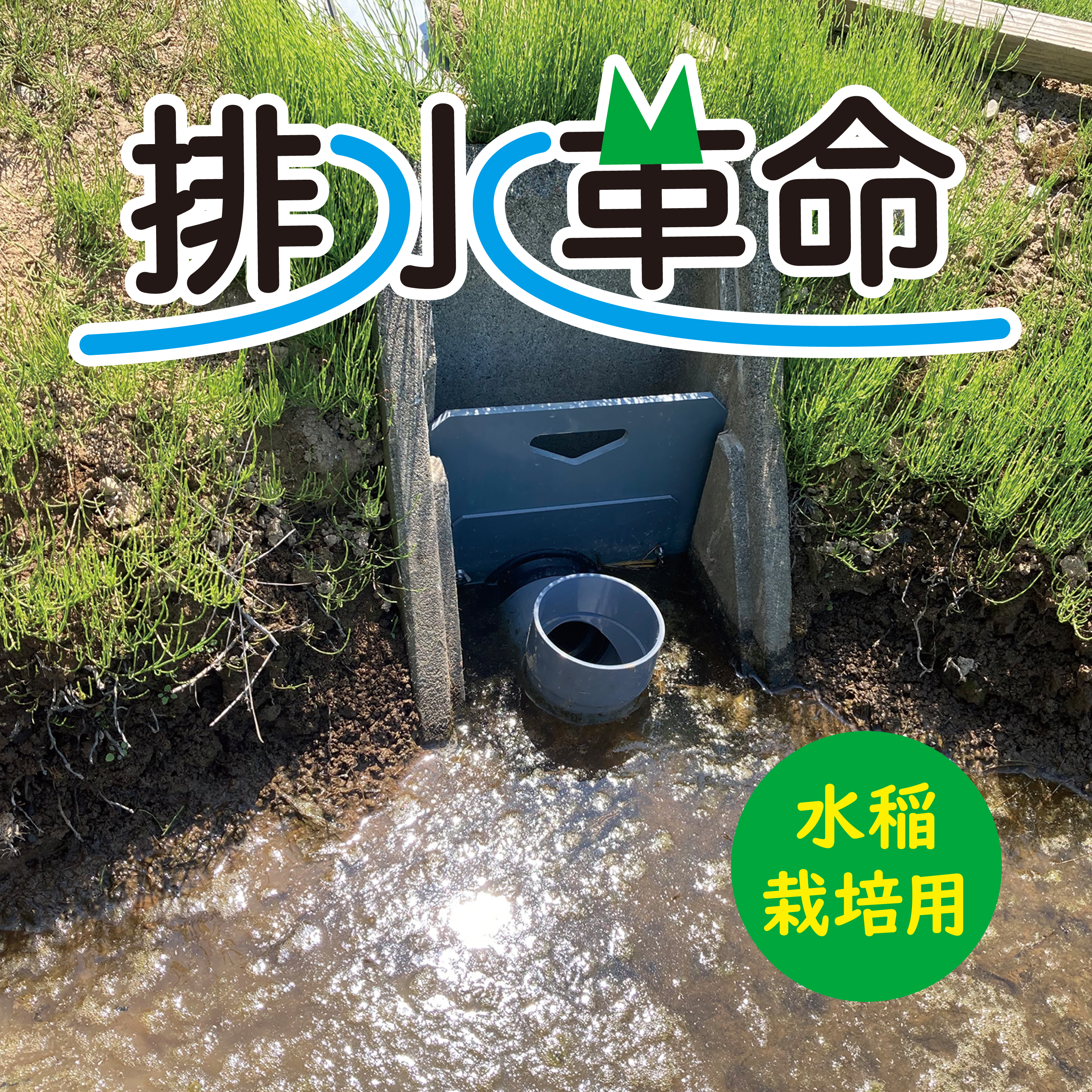 排水側でのラクラク水管理♪