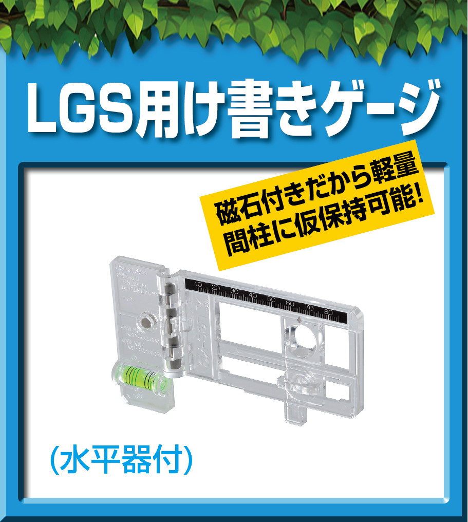 LGS-KG